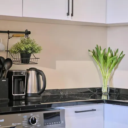 Refined 2br With Terrace And Bosphorus View דירה איסטמבול